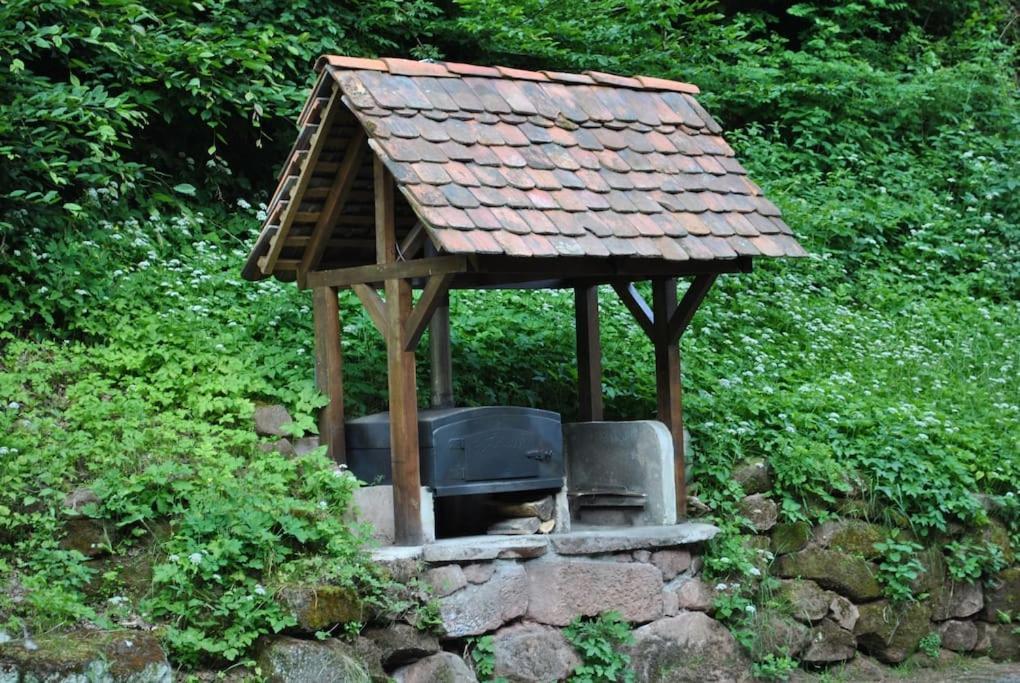 Le Saint Moulin De La Petite Pierre Villa Lohr Eksteriør billede