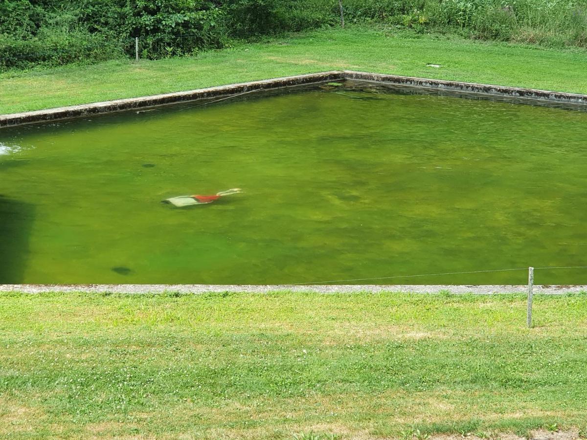 Le Saint Moulin De La Petite Pierre Villa Lohr Eksteriør billede