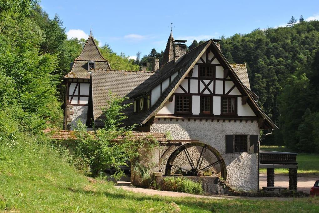 Le Saint Moulin De La Petite Pierre Villa Lohr Eksteriør billede