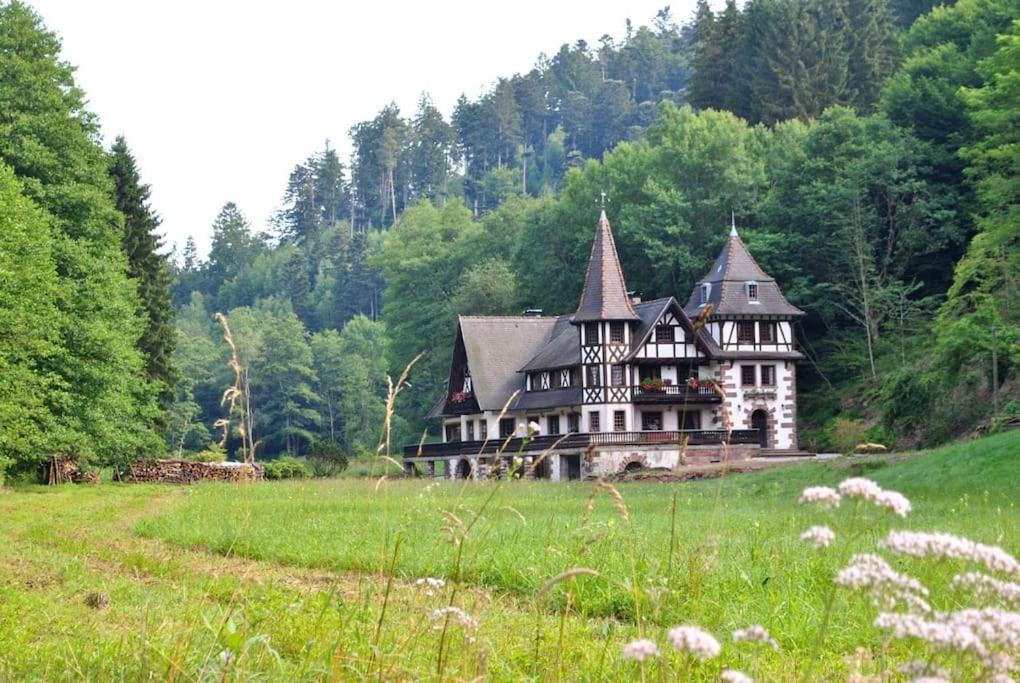 Le Saint Moulin De La Petite Pierre Villa Lohr Eksteriør billede